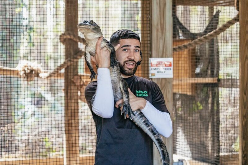 Orlando: Drive-Thru Safari Park at Wild Florida - How Does It Compare in Value?