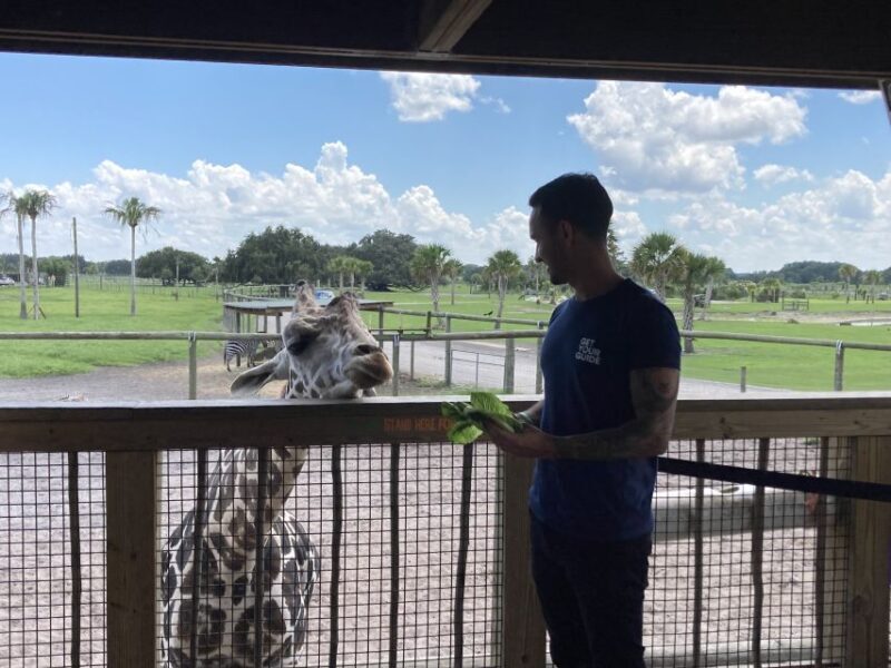 Orlando: Drive-Thru Safari Park at Wild Florida - Is It Suitable for Everyone?