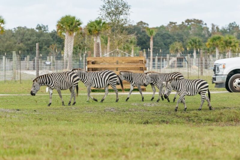 Orlando: Drive-Thru Safari Park at Wild Florida - Final Thoughts