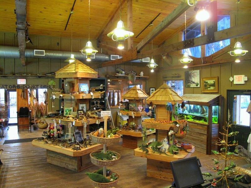 Orlando: Everglades Airboat Ride and Wildlife Park Ticket - Wildlife Park After the Boat: What You Get for Your Ticket Time