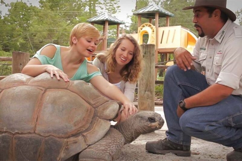 Orlando: Gatorland Interactive Tour with Animal Trainer - Orlando: Gatorland Interactive Tour with Animal Trainer – An Honest Look