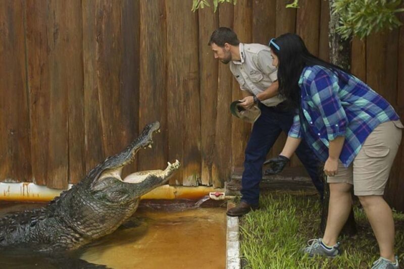 Orlando: Gatorland Interactive Tour with Animal Trainer - What’s the Real Value?