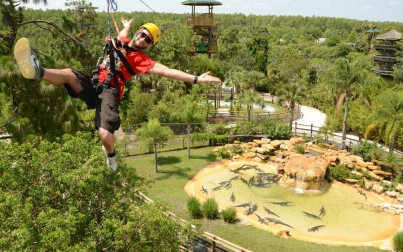 Orlando: Gatorland Zipline Adventure w/ Full-Day Park Access - What to Expect from the Gatorland Zipline Adventure