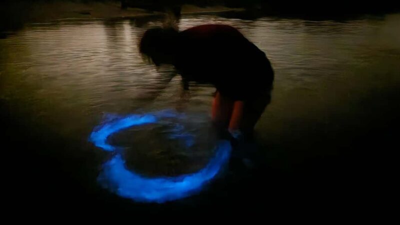 Orlando: Magic After Dark Bioluminescence Kayak Tour - Why the Price is Good Value