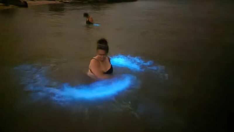 Orlando: Magic After Dark Bioluminescence Kayak Tour - FAQ
