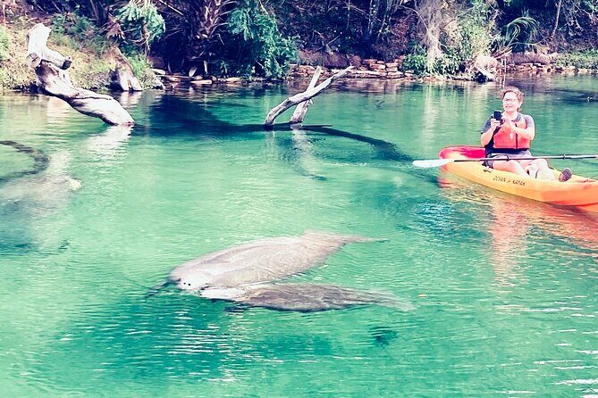 Orlando Manatee and Natural Spring Adventure Tour at Blue Springs - What Is This Tour About?