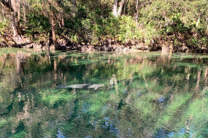 Orlando Manatee and Natural Spring Adventure Tour at Blue Springs - Who Will Love This Tour?