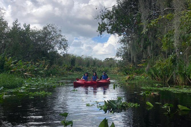 Orlando Manatee Encounters - What to Expect on the Tour