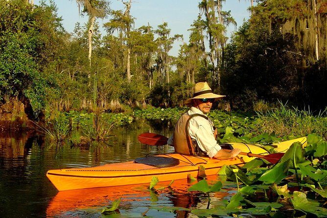 Orlando Manatee Encounters - Practical Tips for Your Trip