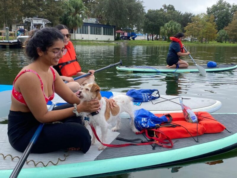 Orlando: Paddle with Pups in Paradise - Paddleboard or Kayak - What is Paddle with Pups in Paradise?