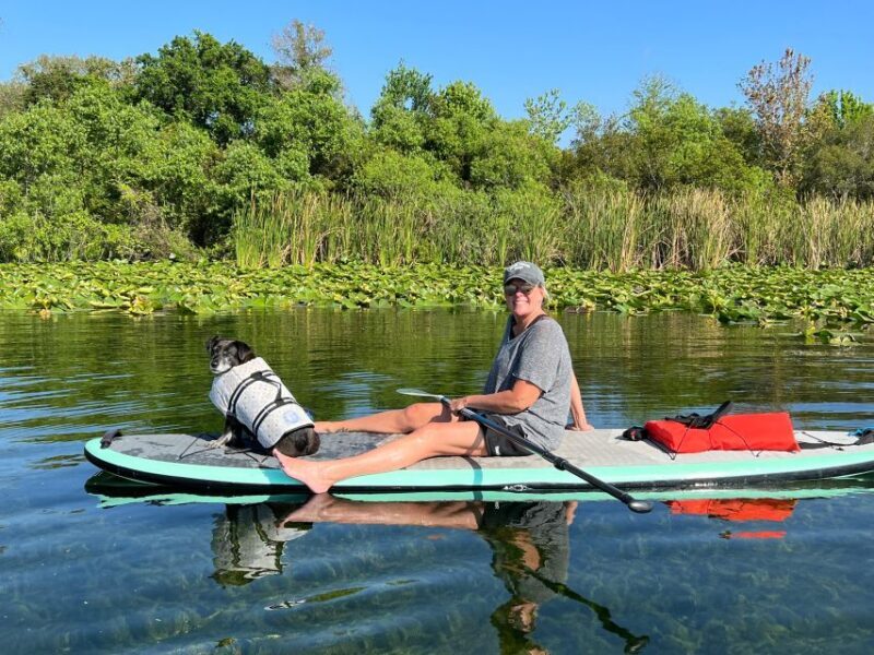 Orlando: Paddle with Pups in Paradise - Paddleboard or Kayak - The Experience & Instruction