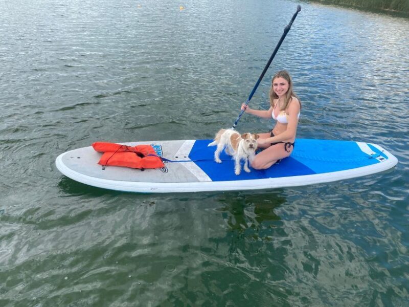 Orlando: Paddle with Pups in Paradise - Paddleboard or Kayak - Who Would Love This Tour?