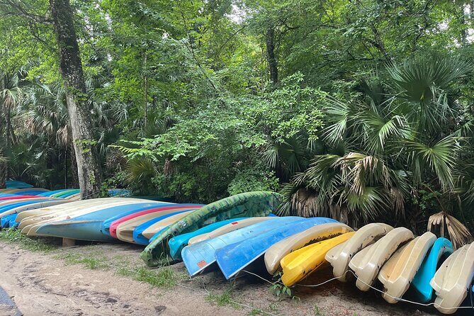 Orlando Private City Sightseeing Tour with Pickup - Who This Tour Is Best For