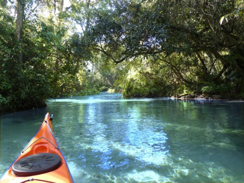 Orlando: Small Group Rock Springs Run Kayak Tour - Orlando: Small Group Rock Springs Run Kayak Tour Review