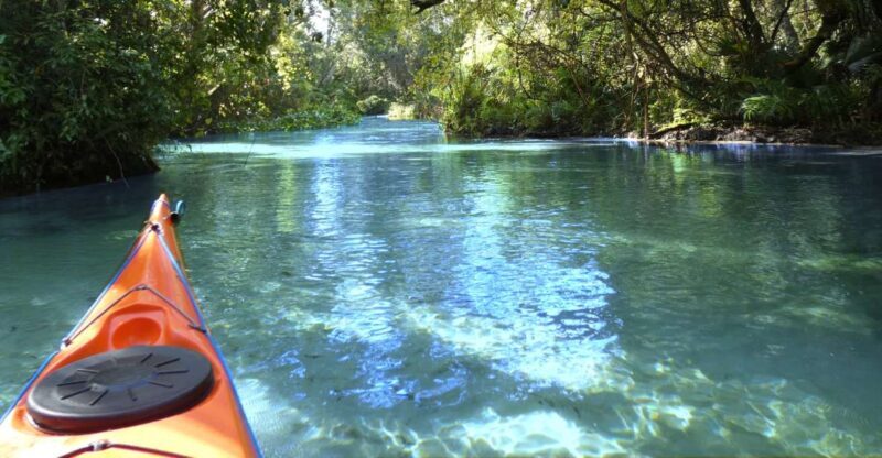 Orlando: Small Group Rock Springs Run Kayak Tour - Key Points