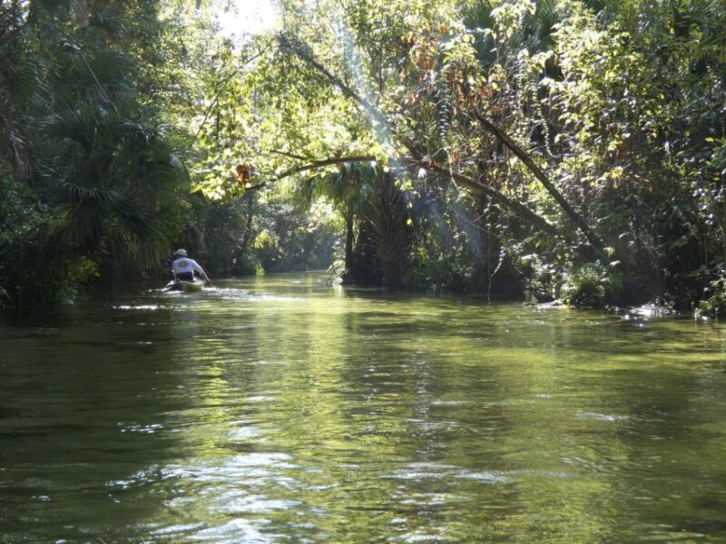 Orlando: Small Group Rock Springs Run Kayak Tour - FAQ