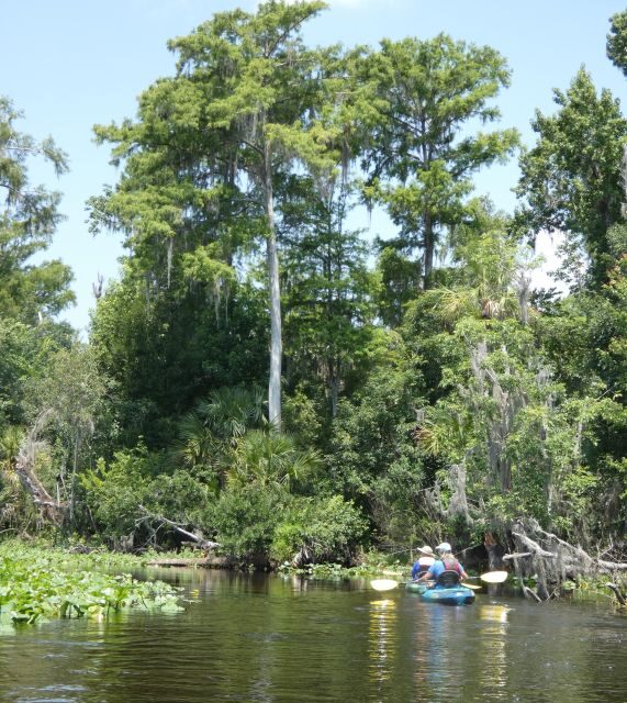 Orlando: Small Group Scenic Wekiva River Kayak Tour - What about potential downsides?