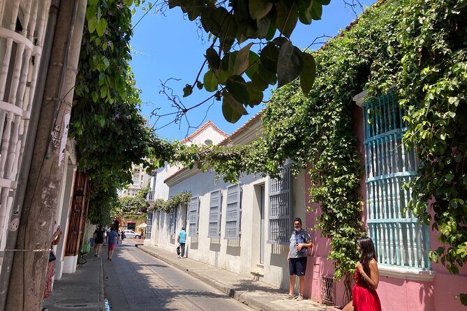 Orlando To or From Port Canaveral Transfer - Who is this transfer best suited for?