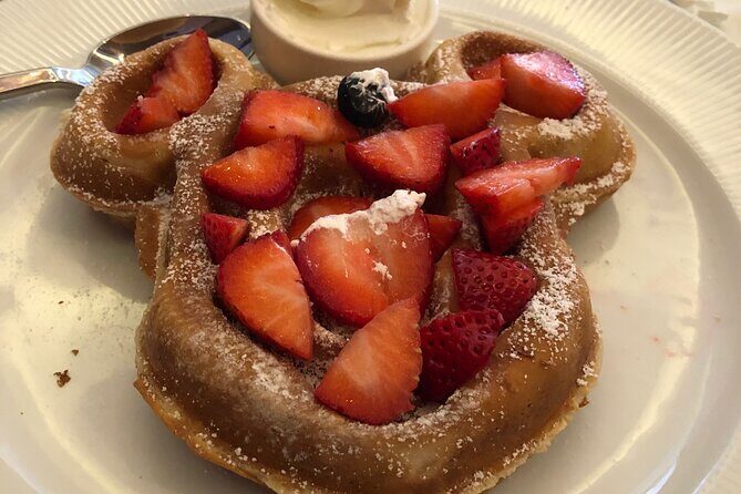 Orlando To or From Port Canaveral Transfer - Final Thoughts