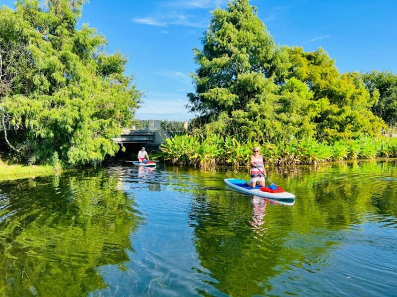 Orlando: Urban Clear Kayak or Paddleboard in Paradise - Price and Value