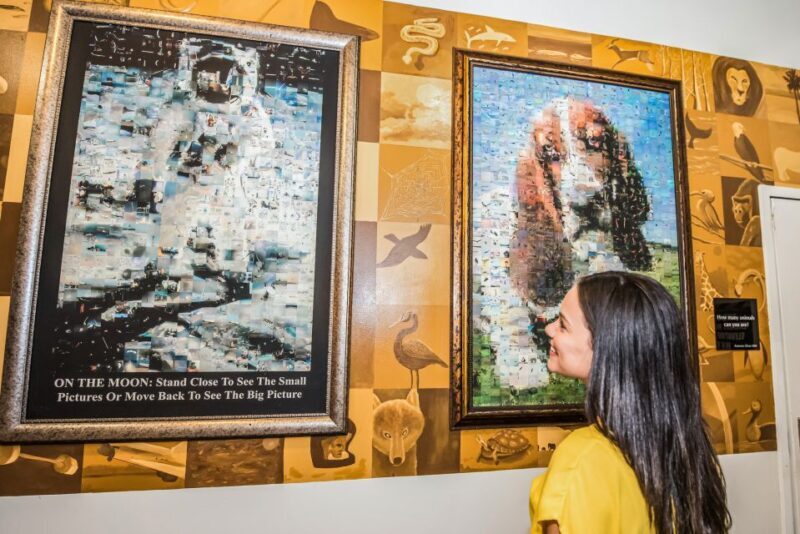 Orlando: WonderWorks All-Access Entry Ticket - Who Will Enjoy WonderWorks?