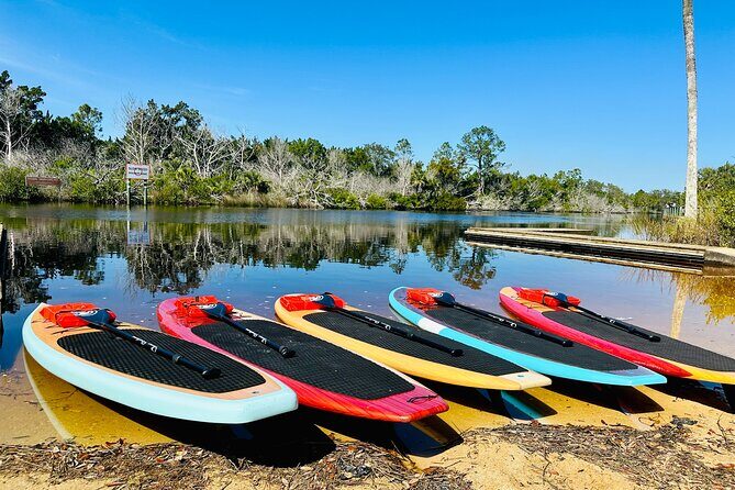 Ormond Beach Manatee and Nature Tour Kayaking or Paddle Boarding - The Experience on the Water: What to Expect