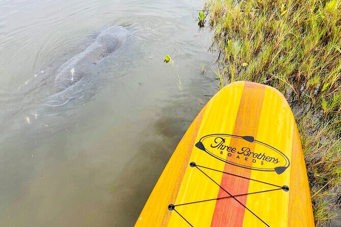 Ormond Beach Manatee and Nature Tour Kayaking or Paddle Boarding - Final Thoughts