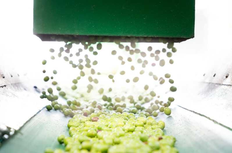 "Oro Bailén": Explore the Oil Mill + Tasting - What to Expect During Your Visit