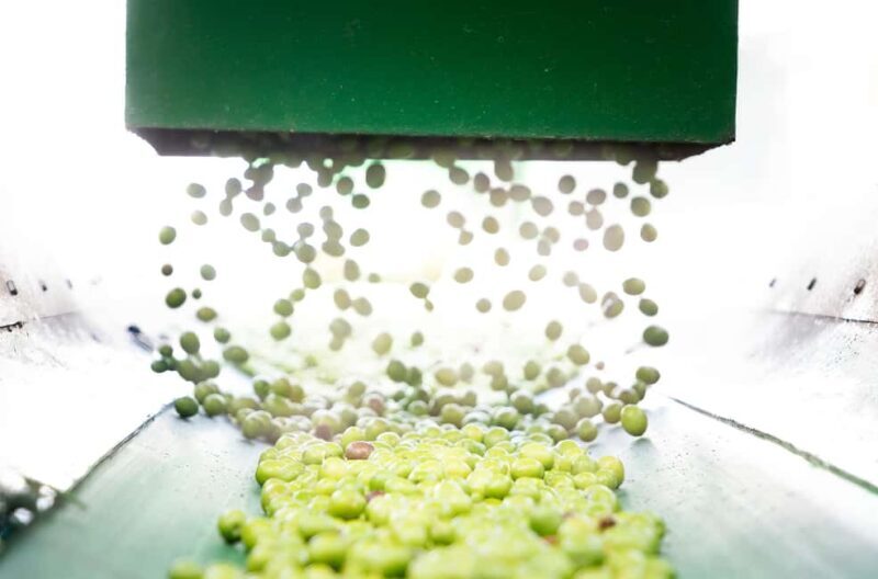 "Oro Bailén": Explore the Oil Mill + Tasting - Value for Money