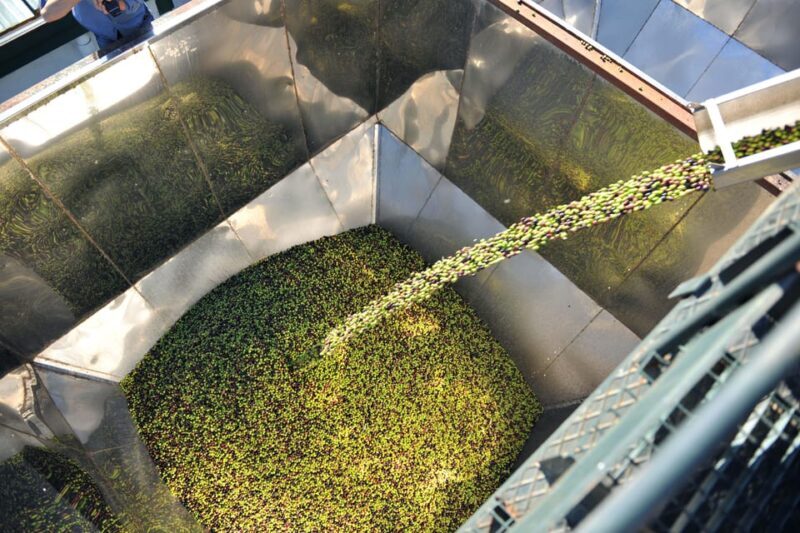 "Oro Bailén": Explore the Oil Mill + Tasting - FAQ