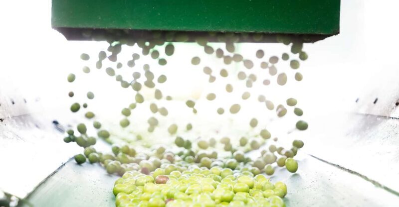 "Oro Bailén": Tour of Oro Bailen Grove + Mill + Tasting - What to Expect from the Oro Bailén Tour