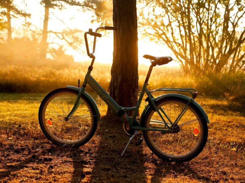 Örö Fortress Island Guided Tour with Lunch - Lunch: A Taste of Island Hospitality