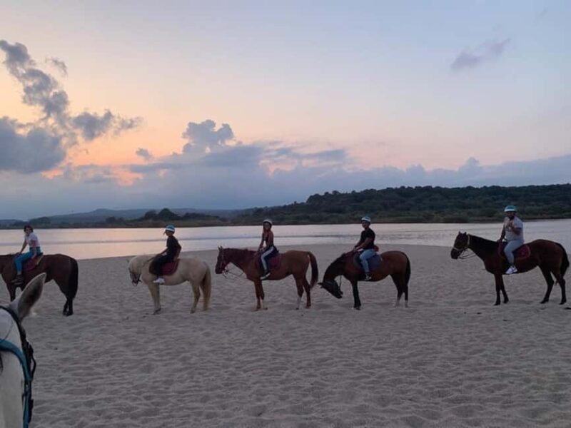 Orosei: horse riding on the beach - Who Is This Experience Best For?