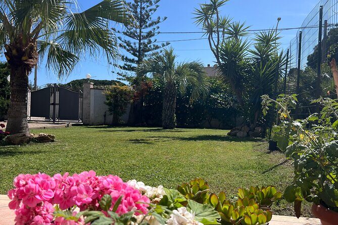 Ortigia market tour and traditional cooking lesson in the garden - Value and Practical Details