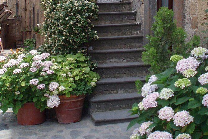 Orvieto and Civita di Bagnoregio: Private Full Day Trip from Rome - FAQ: Your Questions About the Tour