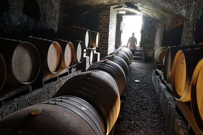 Orvieto by Evening: Small Group e-Bike tour with Dinner - Who This Tour Is Best For