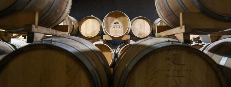 Orvieto, Castello di Corbara: cellar visit and wine tasting - Authentic Wine Experience at Castello di Corbara in Umbria