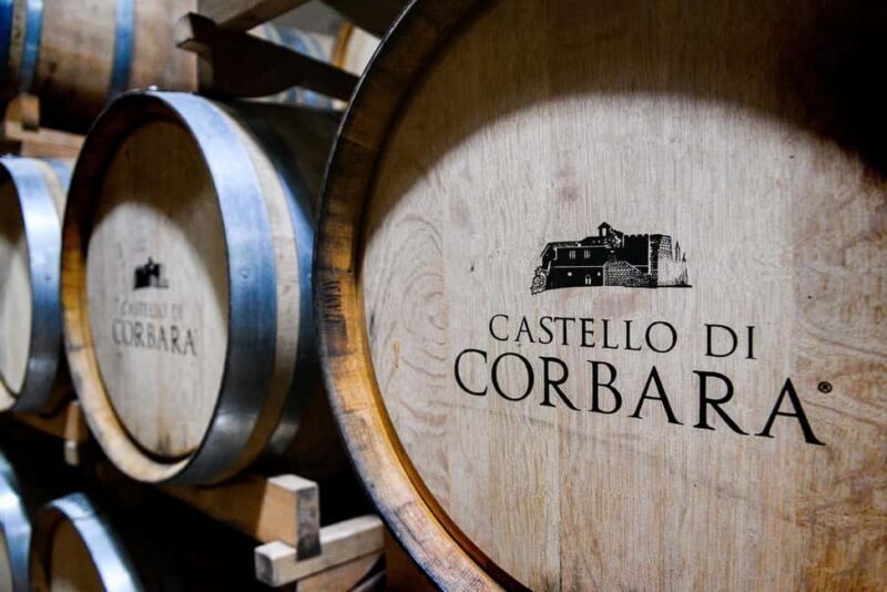 Orvieto, Castello di Corbara: cellar visit and wine tasting - The Value of Authenticity and Personal Attention