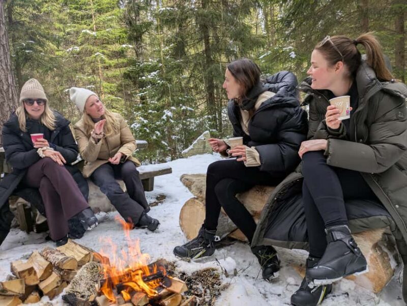 Oslo: 3-hour Cross Country trip with equipment and guide - What to Expect from This Cross-Country Ski Tour