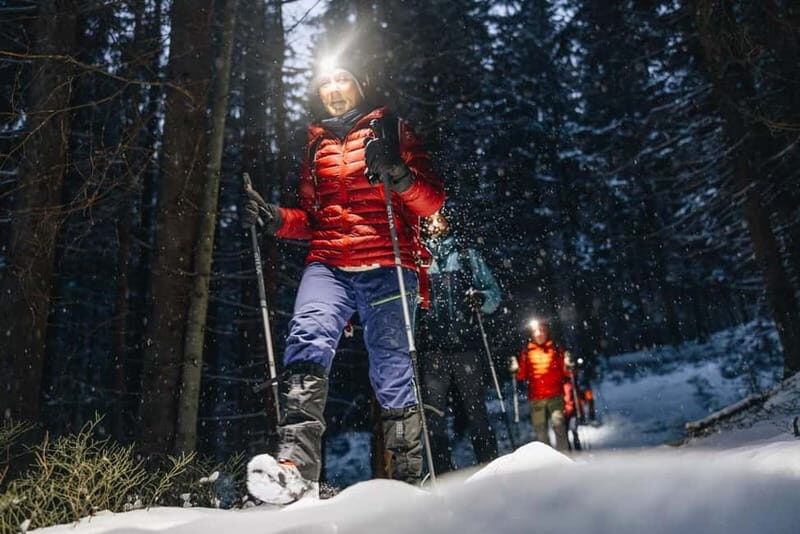 Oslo Forest: Private Mystery Nocturne Walk with Headlamps - Key Points