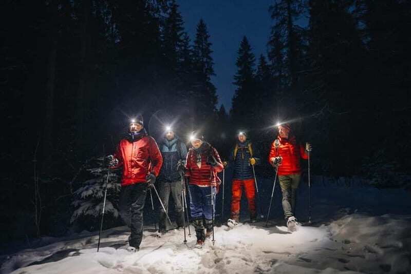 Oslo Forest: Private Mystery Nocturne Walk with Headlamps - A Closer Look at the Oslo Forest Night Adventure