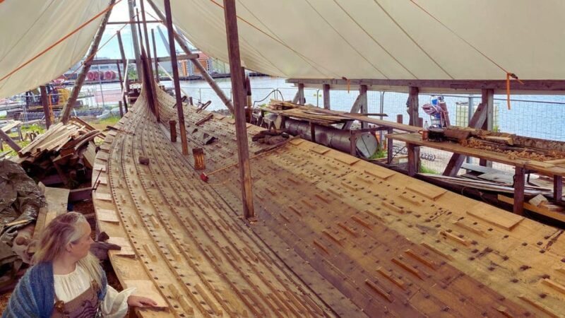 Oslo: Legendary Viking Treasures (Private Bus Tour) - What is the main appeal of this Viking tour?