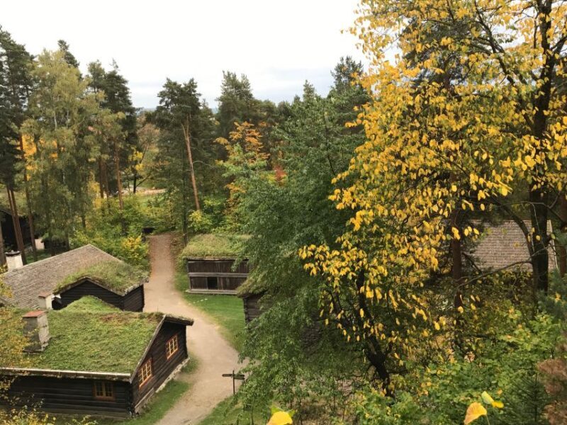 Oslo: Norwegian Explorers and Culture 3 Museum Tour - Who Will Love This Tour?