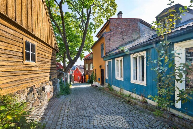Oslo: Norwegian Food Tour & Hidden Gems City Walk - Key Points