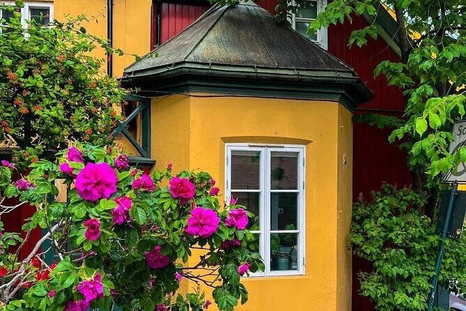 Oslo: Norwegian Food Tour & Hidden Gems City Walk - The Good, the Less Good, and the Practicalities