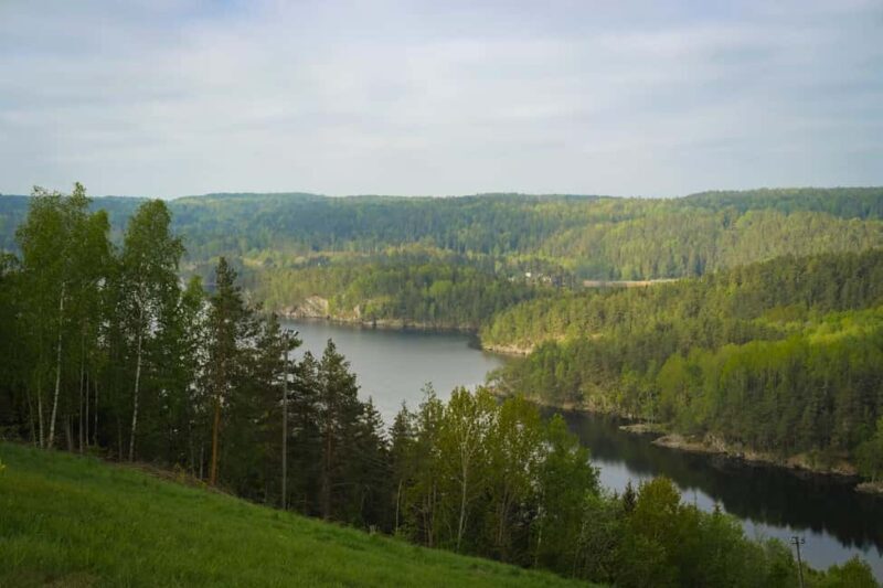 Oslo: Old-Growth Forest Hike with a Biologist - Is This Tour Right for You?