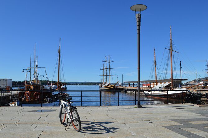 Oslo Panorama El-Bike Tour - Who Should Consider This Tour?