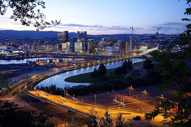 Oslo: Private VIP City Tour by Luxury Minivan with Driver & Guide - Who Should Consider This Tour?