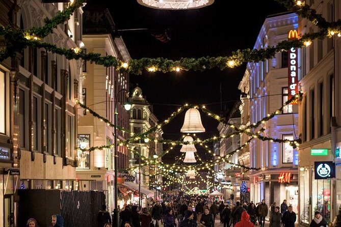 Oslo: Private VIP City Tour by Luxury Minivan with Driver & Guide - Final Thoughts