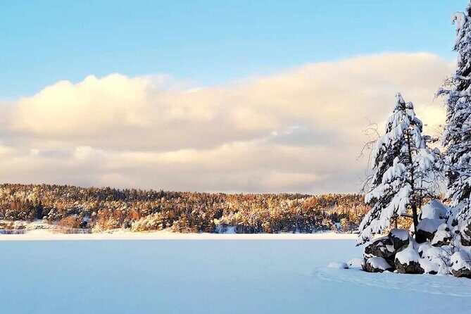 Oslo: Scenic Forest Hike with Dog & Local Guide - Key Points